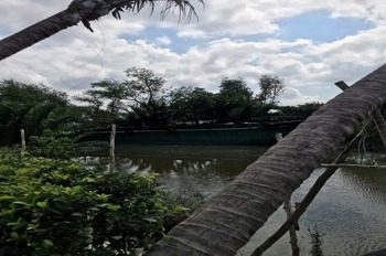 Bán Lô Đất View Sông Phong Phú, Bình Chánh - Vị Trí Đẹp, Giá Tốt