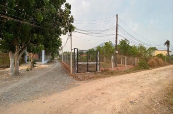 Bán Đất Mặt Tiền Nguyễn Thị Sáu, Thới Tam Thôn, Hóc Môn - 132m2, SHR