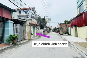 Lô đất trục chính kinh doanh ô tô - Gần Sân Vận Động Qatar - Đông Anh, Hà Nội
