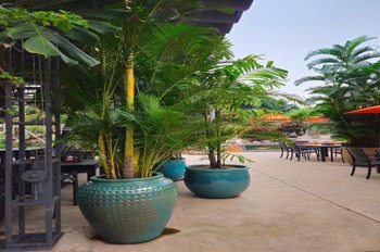 Bán Đất Chính Chủ HXH Long Thuận, P. Long Phước, Quận 9 - Vị Trí Đắc Địa, Tiềm Năng Đầu Tư