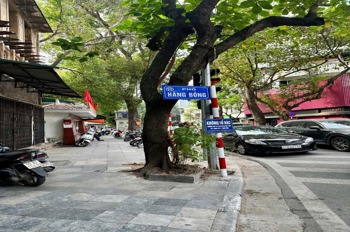 Chính chủ bán nhà 43m2 ngõ phố Hàng Bông, Hoàn Kiếm - Giá Tốt