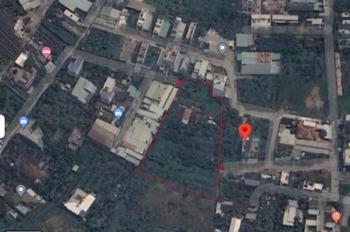 Đất Nở Hậu Vườn Lài Quận 12: 4324m2, Ngân hàng hỗ trợ