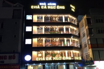 Cho Thuê Nhà Mặt Phố Láng Hạ - Giảng Võ - 1000m² - Giá Tốt