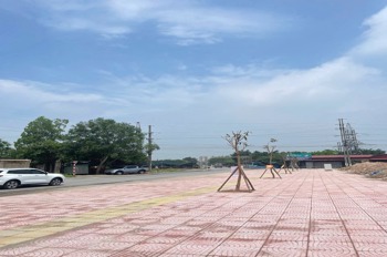 Sở Hữu Lô Đất Vàng Cạnh Vinhome Liên Hà, Từ 5x Triệu/m² - Đầu Tư Sinh Lời
