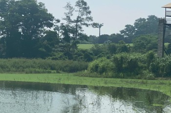 Đất View Sân Golf Sky Lake, Nam Phương Tiến - Cơ Hội Đầu Tư Vàng