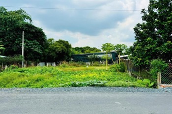 Bán Đất Phú Hòa Đông, Củ Chi: 102m² Full Thổ Cư, Đường 6m