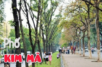 Nhà riêng chính chủ Kim Mã, Ba Đình - 91m² - 4 Tầng - Giá Tốt