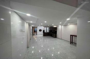 Bán nhà Quận 1, Nguyễn Bỉnh Khiêm - Vị trí Vàng, Diện Tích Lớn