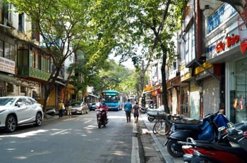Bán Gấp Nhà Mặt Phố Hàng Muối - Diện Tích 31.6m², 3 Tầng, Kinh Doanh Tốt
