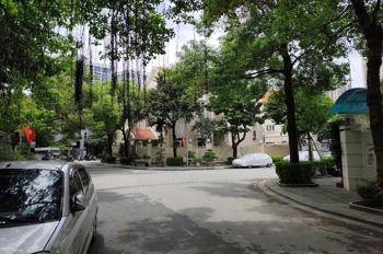 Cực Phẩm Mặt Phố Nguyễn Văn Trỗi - Hà Đông: Kinh Doanh Vàng, Vị Trí Đỉnh Cao