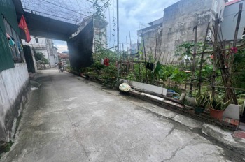 Bán Đất Lương Quy - Xuân Nộn, 56.4m², Ô Tô Vào Cửa, Giá 3.85 tỷ