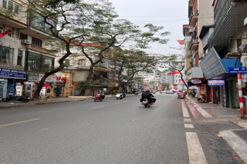 Mặt Phố Thụy Khuê - Kinh Doanh Đỉnh Cao, Giá Chỉ 11.8 Tỷ