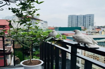 Siêu phẩm nhà phố Đống Đa 6 tầng - Mặt tiền kinh doanh - Ô tô tránh