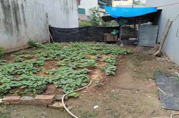 Lô Đất 56m2 Gia Lâm Giá Từ 2 Tỷ - Đầu Tư Sinh Lời