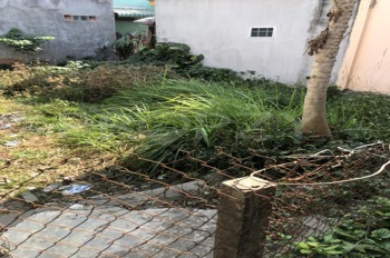 Bán Đất Ngay Cầu Ông Thìn, Bình Chánh - Giá Tốt, Pháp Lý Rõ