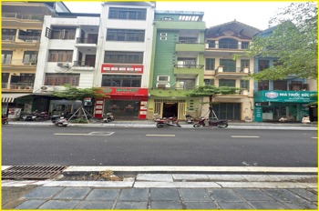 Bán nhà phố Duy Tân, Cầu Giấy - Phân lô - Kinh doanh Sầm Uất - 52m2