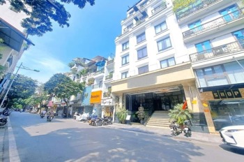 Bán Building Mặt Phố Tây Hồ - 220m2, Mặt Tiền 12.5m, Vị Trí Đắc Địa