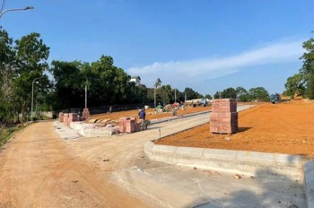Bất Động Sản Trại Hồ, Cổ Đông, Sơn Tây: Vị Trí Vàng, Pháp Lý Rõ Ràng, Đầu Tư Sinh Lời