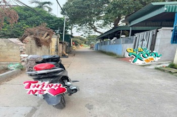 Bán Gấp Đất Xã Tự Nhiên, Huyện Thường Tín - Vị Trí Đắc Địa, Pháp Lý Sạch