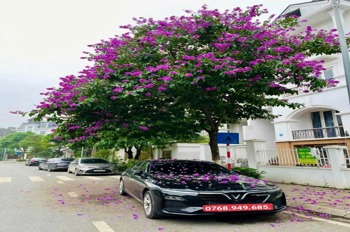 Bán Biệt Thự Song Lập Lideco 162m² - 5 Tầng, Đường 13m