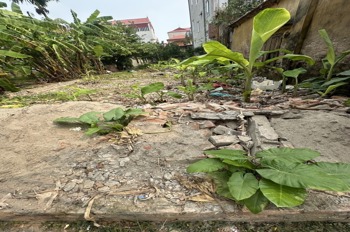 Bán Đất Mặt Phố Đại La, Hai Bà Trưng - 230m2, Giá 74 Tỷ - Vị Trí Đắc Địa