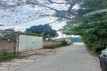 Bán Gấp Đất Đẹp Tại Tiên Lệ, Hoài Đức - 41m², Giá Tốt, Pháp Lý Sạch