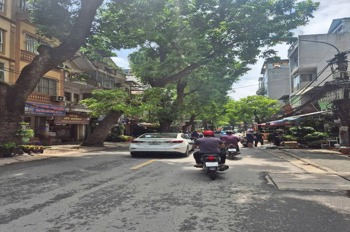 Nhà phố Hoàng Hoa Thám - Vị trí đẹp, đầu tư sinh lời