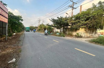 Đất nền Vị Trí Đắc Địa Mặt Tiền Thanh Niên, Bình Chánh - Giá 5 Tỷ