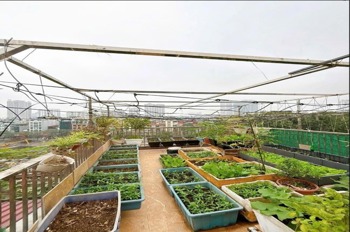 Bán Gấp Mặt Phố Đường Láng 47m2 x 7 Tầng, Kinh Doanh Đỉnh