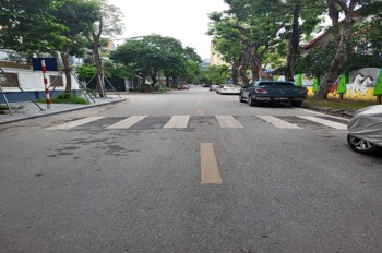 Bán Biệt Thự Hoàng Quán Chi - Dịch Vọng, 200m2, Mặt Tiền 15m, Giá 100 Tỷ