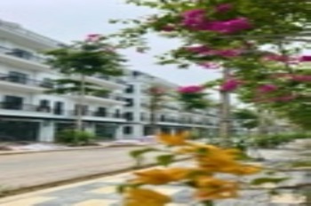 Bán Biệt Thự Đông Dương Residence Hoài Đức - Vị Trí Đẹp, Giá Tốt