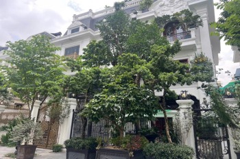 Cắt Lỗ Biệt Thự An Quý Villa Dương Nội 198m2 - 41 tỷ - Vị Trí Đắc Địa