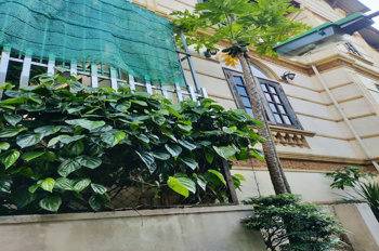 🏫💥💥NHÀ VƯỜN -  PHÂN LÔ - 2 MẶT NGÕ - VIEW HỒ - Ô TÔ - Ở SƯỚNG.💥💥Giá : nhỉnh 13 tỷ