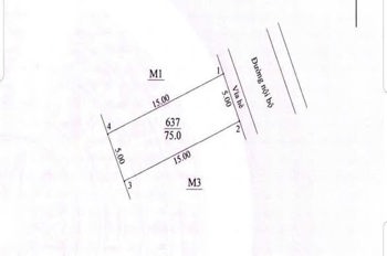 BÁN HANH 75M ĐẤT ĐẤU GIÁ _ ĐỒNG PHUNG _ HẠ MỖ _ Ô DIÊN _ HÀ NỘI