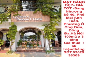 MẶT BẰNG ĐẸP- GIÁ TỐT -Sang Nhượng Số 40, Phố Mai Anh Tuấn, Phường Ô Chợ Dừa, Đống Đa,Hà Nội