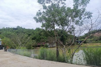 Chính chủ cho thuê đất 5.272m² (có 400m² thổ cư) tại xã Như Xuân, hỗ trợ cải tạo