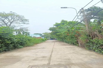 Bán Đất Nền Bà Điểm Hóc Môn 525m2 - Vị Trí Đẹp, Giá Tốt