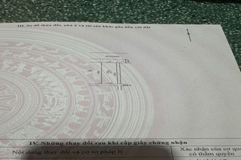 Bán Đất Chính Chủ Sóc Sơn - Vị Trí Đắc Địa, Đầu Tư Sinh Lợi
