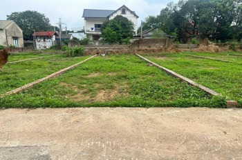 Đất nền Thanh Sơn, Minh Phú 101m2 - Vị trí đẹp, ô tô vào tận nơi