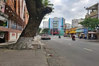 BÁN ĐẤT MẶT TIỀN PHAN CHÂU TRINH – TRÁI TIM HẢI CHÂU – XÂY 12 TẦNG KHAI THÁC DÒNG TIỀN KHỦNG!