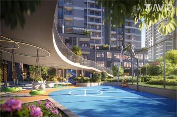 TTAVIO Giá chỉ 37 triệu/m² – Giá siêu mềm, khó tìm giữa mặt bằng chung