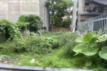 Bán Đất Mai Lâm, Hà Nội: 126m2, Mặt Tiền 6m, Ngõ Ô Tô, Giá Tốt