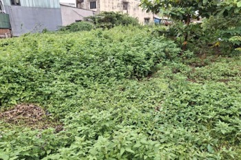 🔥Đất HXH vuông vức 92m2, Tô Ngọc Vân, Quận 12 - Giá Tốt