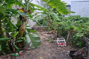 Bán Đất Nguyễn Thị Sáu, Thới Tam Thôn - 68m2, Giá Tốt, SHR