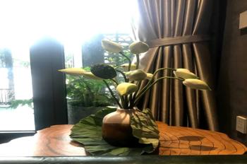 CĂN VIP – NHÀ 3 TẦNG, THOÁNG MÁT, HIỆN ĐẠI – CẨM LỆ – ĐÀ NẴNG. VỊ TRÍ ĐẮC ĐỊA – GIÁ TỐT!