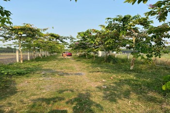 Chính Chủ Bán Đất Sổ Đỏ Tại [Tên Khu Vực/Thành Phố] - Vị Trí Đẹp, Giá Tốt