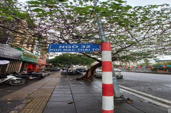 Cho Thuê Nhà Mặt Ngõ, 4 Tầng, Mạc Thái Tổ, Cầu Giấy - Văn Phòng Cao Cấp