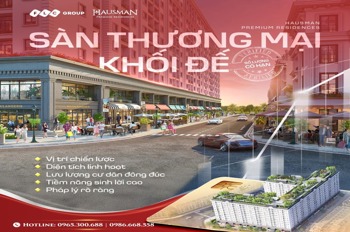 Bán suất ngoại giao chung cư Hausman Premium Residences: Giá tốt nhất Tây Hà Nội