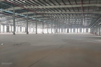 Cho Thuê Kho Xây Dựng Mới Mặt Đường Đại Lộ Thăng Long - Giá Tốt