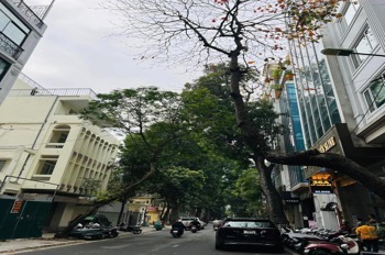 Bán Nhà Mặt Phố Quận Hoàn Kiếm - 82m4 - Vừa Ở Vừa Kinh Doanh - 41.5 Tỷ
